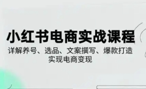 小红书从0-1实操课(2023-2025),详解养号、选品、文案撰写、爆款打造实现电商变现-网创副业