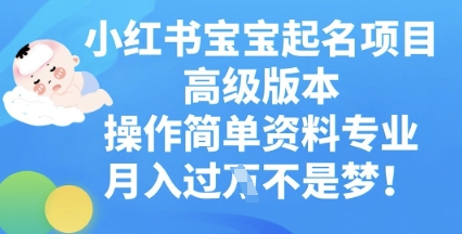小红书宝宝起名项目高级版本，操作简单，资料专业，月入过W-网创副业