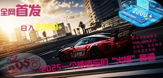 全网首发:2025一个被遗忘的“火爆”赛道轻松日入多张-网创副业