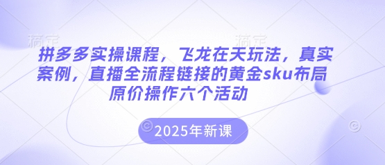 拼多多实操课程,飞龙在天玩法,真实案例,直播全流程链接的黄金sku布局原价操作六个活动-网创副业