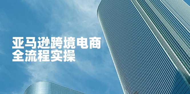 (14252期)亚马逊跨境电商全流程实操,教你从零开始,掌握店铺运营与广告技巧-网创副业