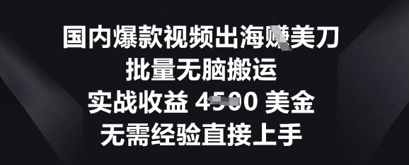 国内爆款视频出海挣美刀,批量无脑搬运,实战收益4.5k,无需经验直接上手-网创副业
