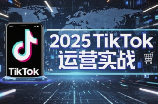 2025TikTok电商运营,掌握TikTok店铺运营核心技巧,实现低成本高转化-网创副业