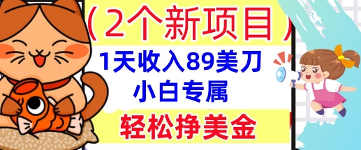 2个新项目，轻松挣美金， 1天收入89美刀，小白专属，干货分享-网创副业