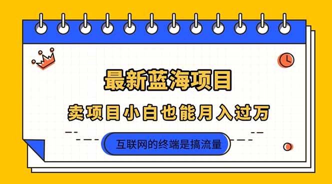 （14289期）2025年最新蓝海项目，卖项目小白也能月入过万-网创副业