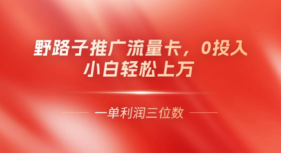 0门槛推广流量卡，一单收益上百，0投入，小白月入过W-网创副业