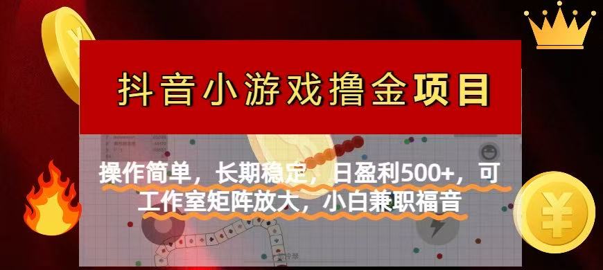 (14290期)【抖音小游戏发行人计划项目】操作简单,长期稳定,日盈利500+,可工作...-网创副业
