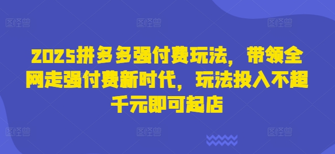 2025拼多多强付费玩法,带领全网走强付费新时代,玩法投入不超千元即可起店-网创副业