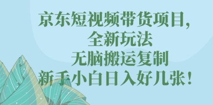 京东短视频带货项目,全新玩法,无脑搬运复制,新手小白日入好几张!-网创副业
