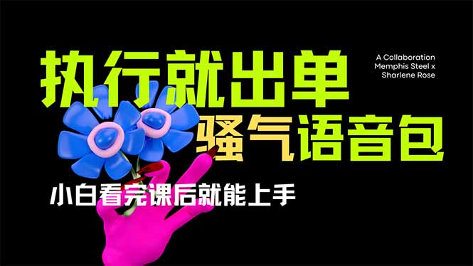 （14170期）爆火全网的开车导航骚气语音包,只要执行就出单，小白看完课程就能实操...-网创副业
