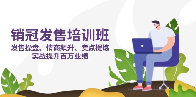 (14203期)销冠 发售培训班:发售 操盘+情商 飙升+卖点 提炼,实战提升百万业绩-网创副业
