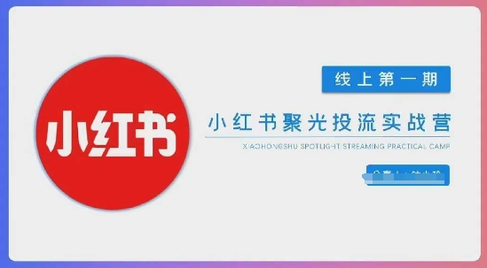 小红书聚光陪跑第一期,教你从0到1玩转小红书聚光投流,搭建小红书付费投流团队,更快的见到效果-网创副业