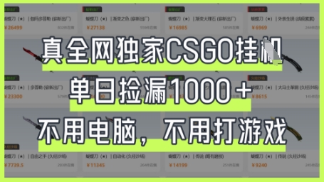 真全网独家CSGO挂G，单日捡漏1k+【揭秘】-网创副业